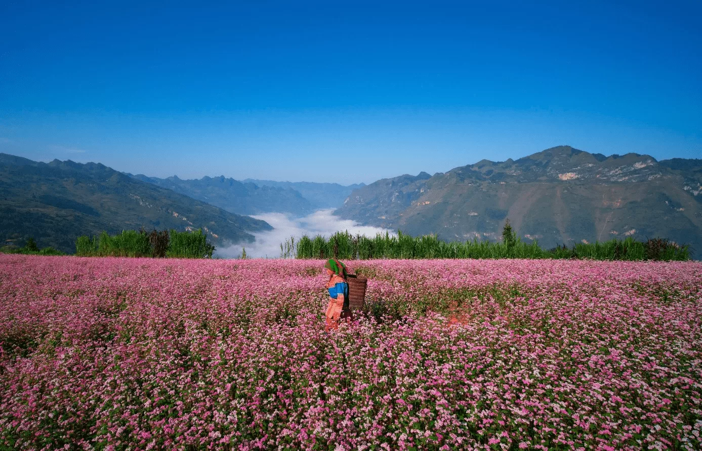 ha giang weather november
