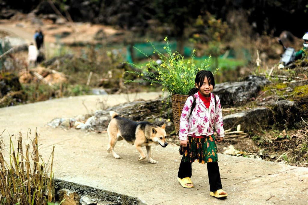 Ha Giang Loop Travel Tips 