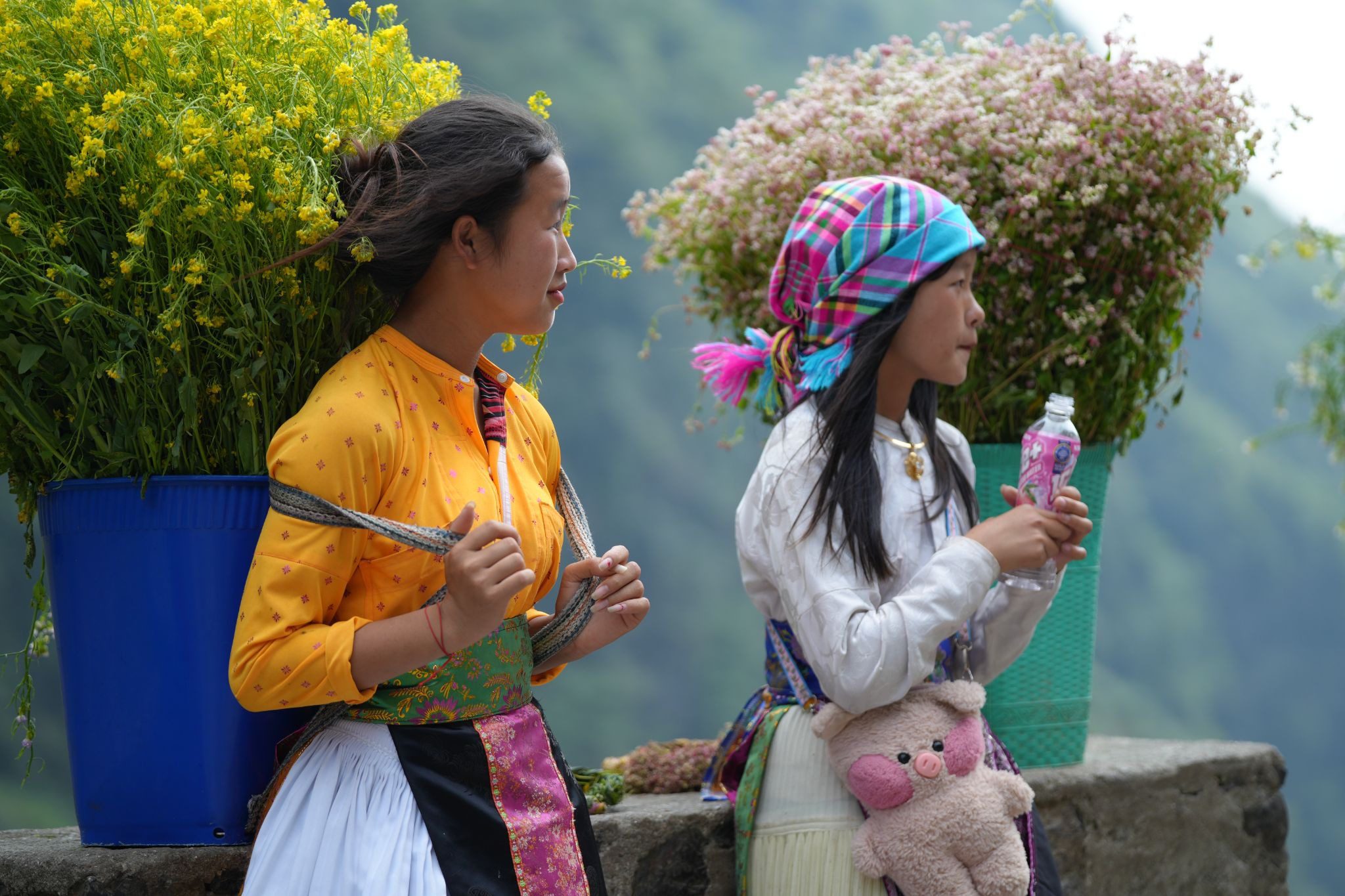 Ha Giang Loop Travel Tips 
