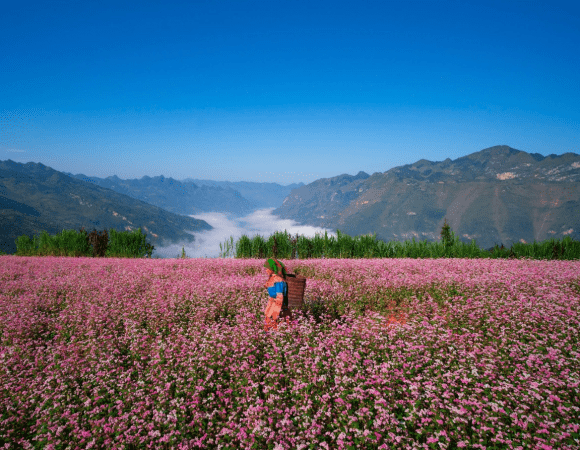 Understand Ha Giang weather November – one of the best times to visit Ha Giang!