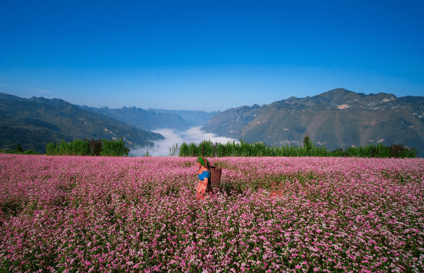 Understand Ha Giang weather November – one of the best times to visit Ha Giang!