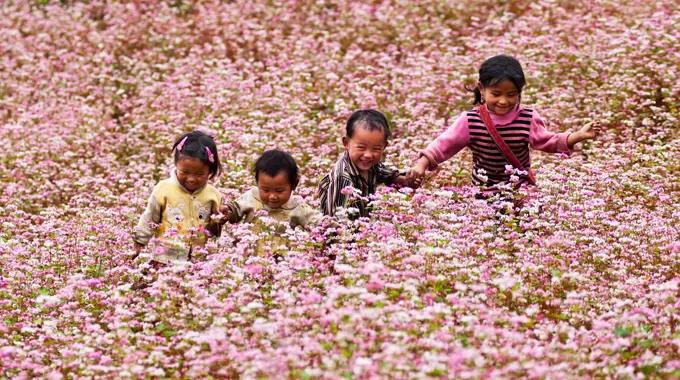 tam giac mach ha giang