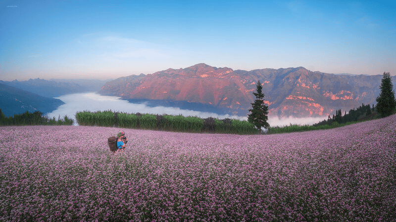 tam giac mach ha giang