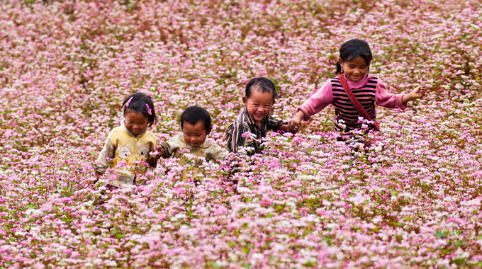 tam giac mach ha giang