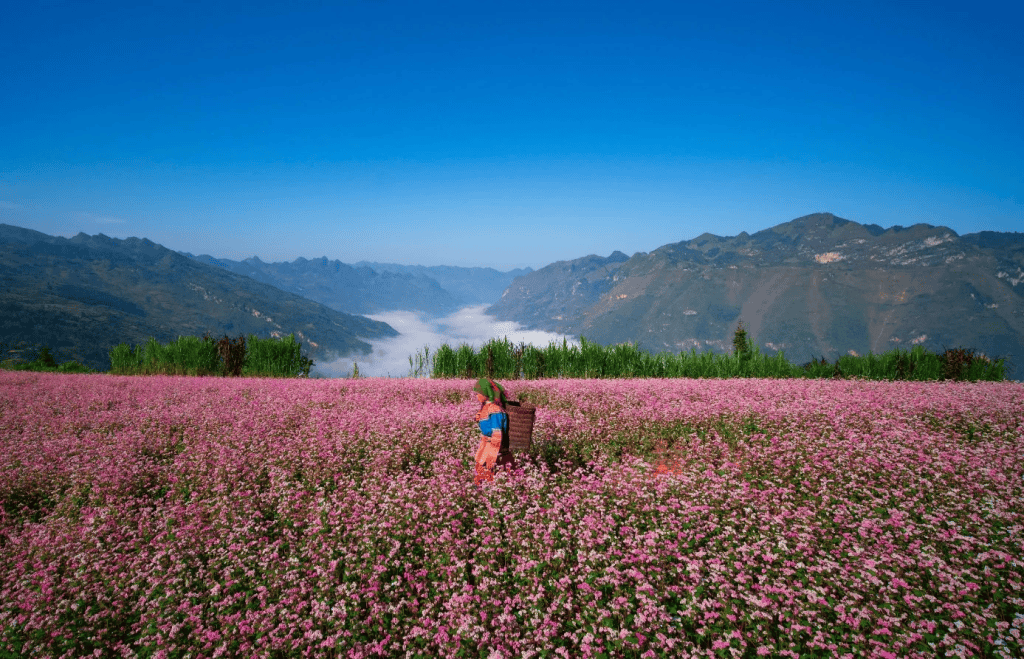 tam giac mach ha giang