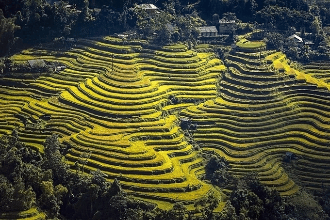 ninh binh vs ha giang