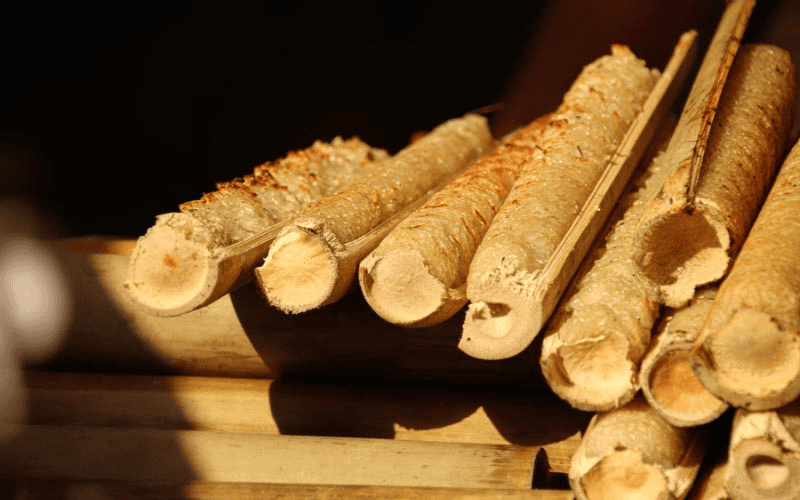 ha giang food - bamboo-tube rice