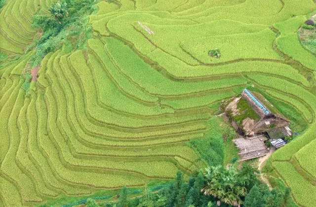 Ha Giang Harvest Season 2D1N