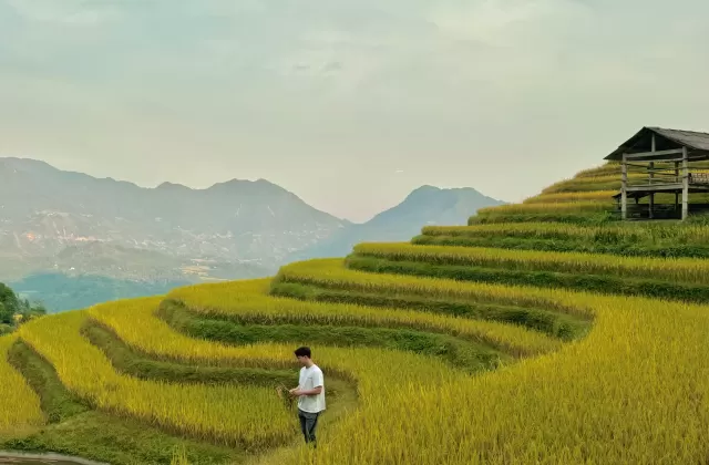Hoang Su Phi Golden Rice Season 3D2N
