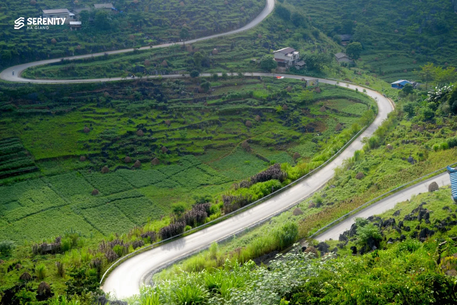 Easy Rider vs Self Drive on the Ha Giang Loop